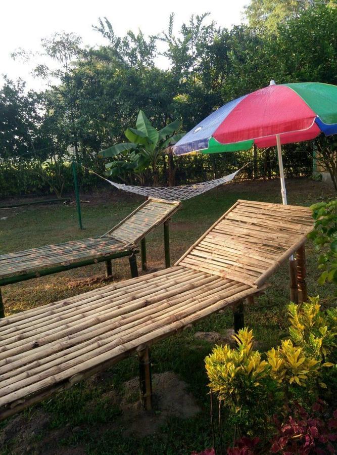The Mystic Forest - A Tea Garden Resort At Dooars Madari Hat Bagian luar foto