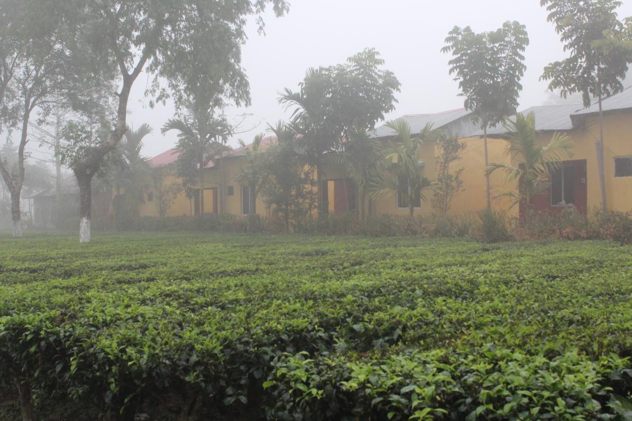 The Mystic Forest - A Tea Garden Resort At Dooars Madari Hat Bagian luar foto