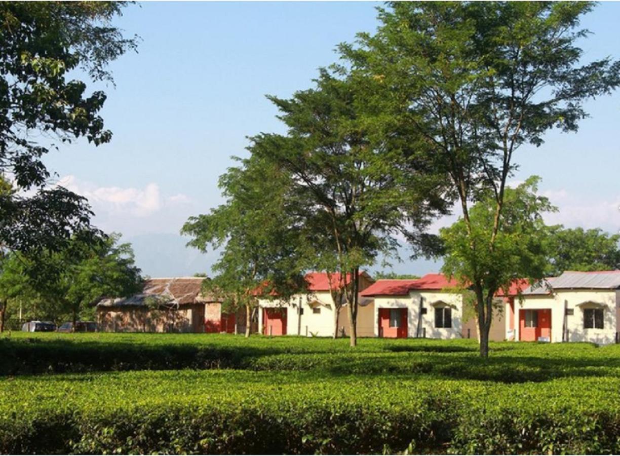 The Mystic Forest - A Tea Garden Resort At Dooars Madari Hat Bagian luar foto