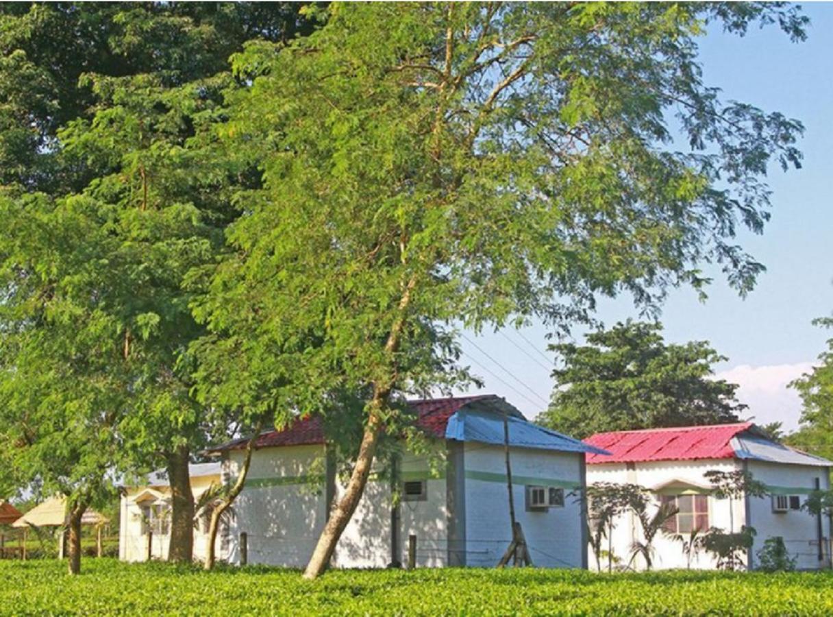 The Mystic Forest - A Tea Garden Resort At Dooars Madari Hat Bagian luar foto