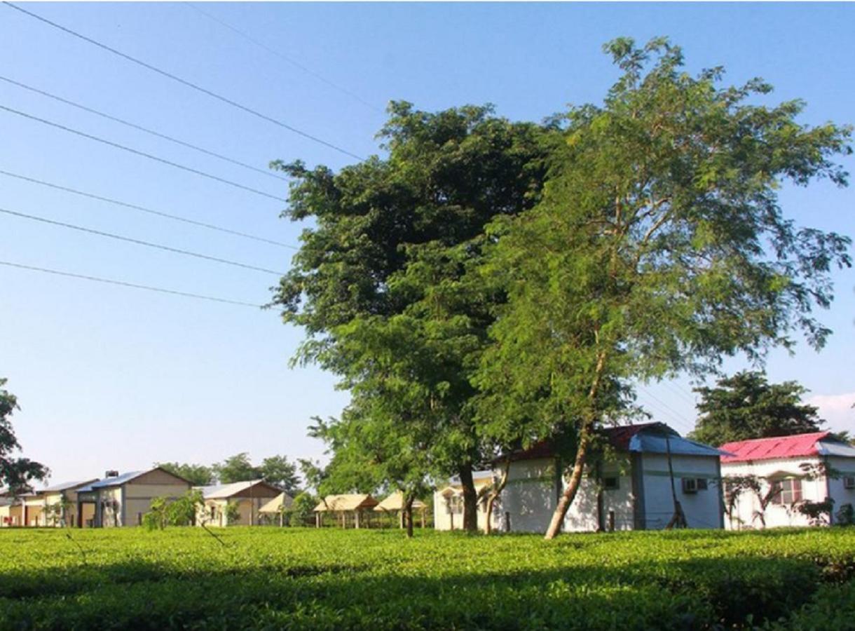 The Mystic Forest - A Tea Garden Resort At Dooars Madari Hat Bagian luar foto