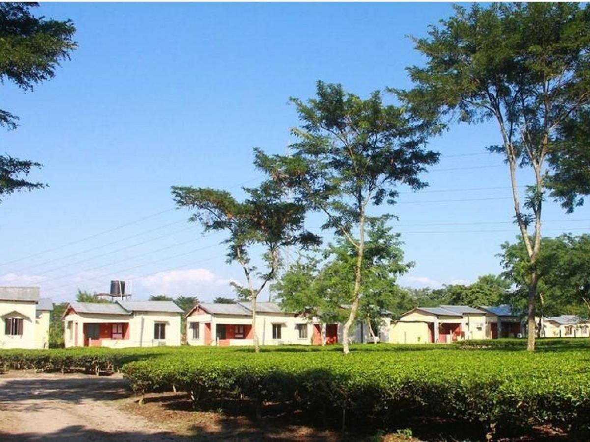 The Mystic Forest - A Tea Garden Resort At Dooars Madari Hat Bagian luar foto