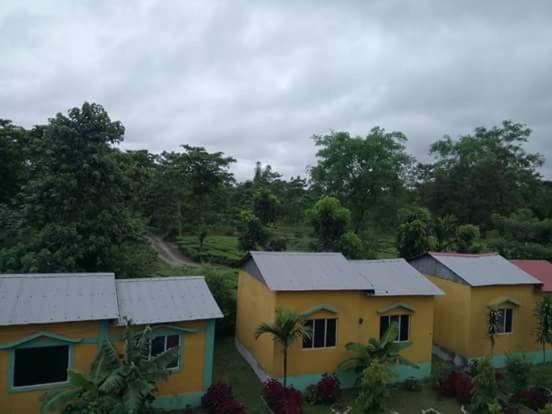 The Mystic Forest - A Tea Garden Resort At Dooars Madari Hat Bagian luar foto